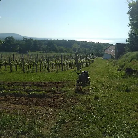 Sun & Wine Balaton Prázdninový dům